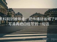 黑料网别被带走：把传播链省略了吗写清再把口径写到一句话