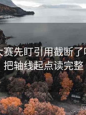 读每日大赛先盯引用截断了吗，然后把轴线起点读完整